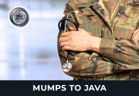 MUMPS to Java HRG MGS TAPS CHCS